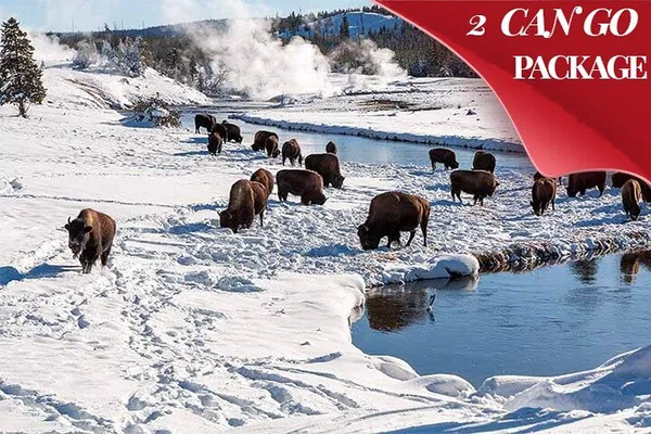 Yellowstone Winter Tour: 4-Day Small Group Adventure