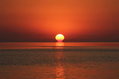 Islamorada's Sunset Eco-Cruise: Witness Nature's Masterpiece
