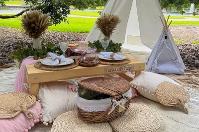 Charleston's Themed Luxury Picnics: Unforgettable Moments Await!