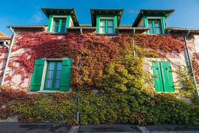 Normandy's Charms: A Tailored Journey from Paris