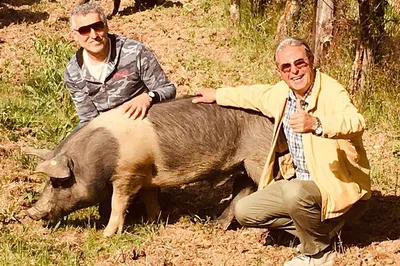 Cinta Senese Pig Farm Visit: A Tuscan Culinary & Rural Delight