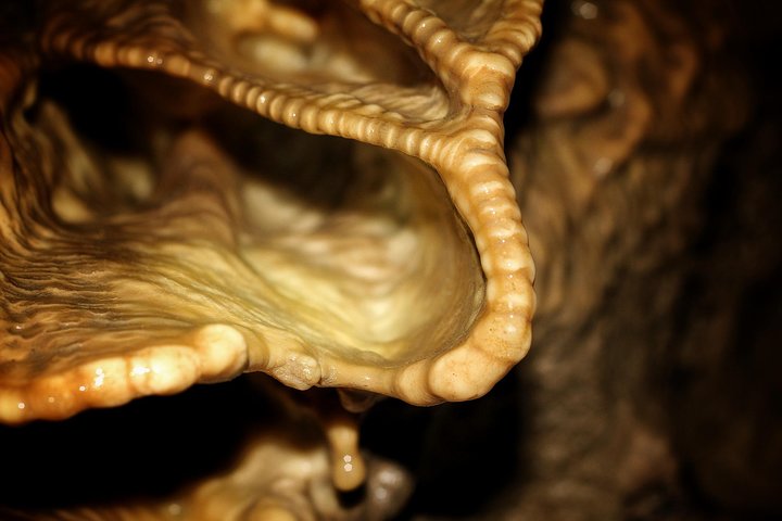 Experience Image img2