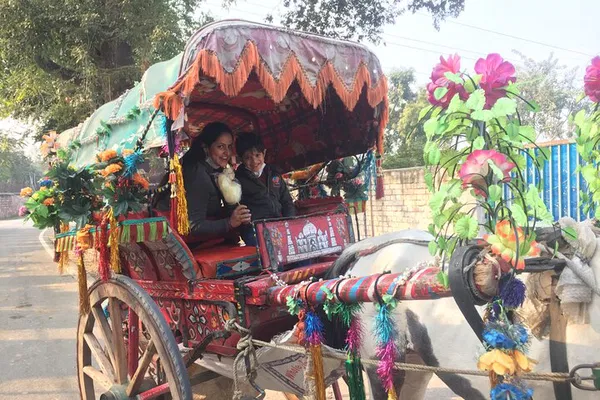 Unveiling Agra's Secrets: Taj Mahal Tour with Local Immersion