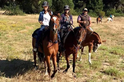 Rome Sunset Ride: Romantic Dinner & Equestrian Escape