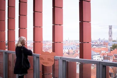 Bruges Unveiled: Concertgebouw's Art, Music & Panoramic Heights