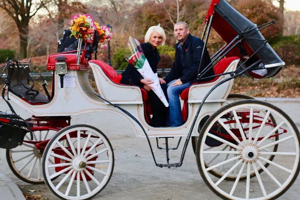 Romantic NYC Carriage Proposal: A Magical Moment Captured!