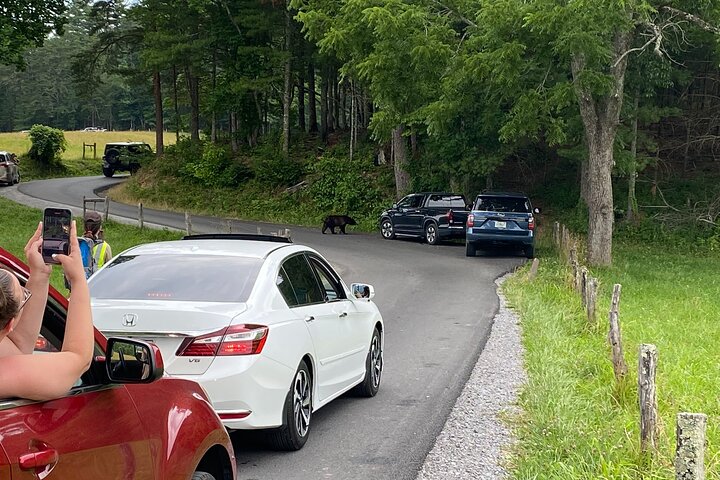 Experience Image img1