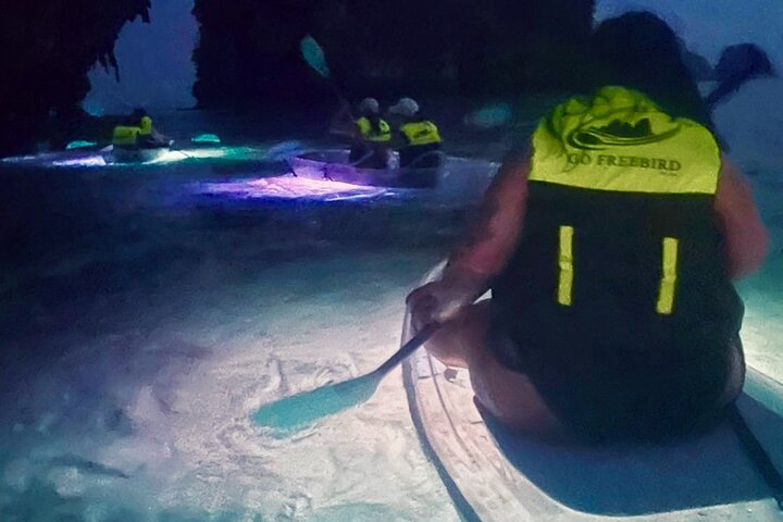 Krabi's Bioluminescent Paddleboard Adventure: A Nighttime Stargazing Experience