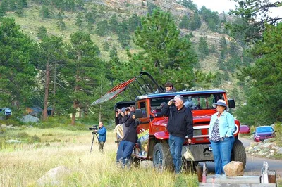Witness the Elk Rut: Wildside 4X4's Premier Wildlife Spectacle