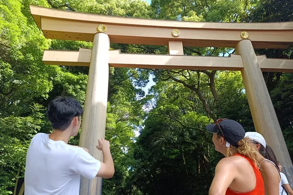 Tokyo Meiji Shrine: Shinto Culture Walking Tour