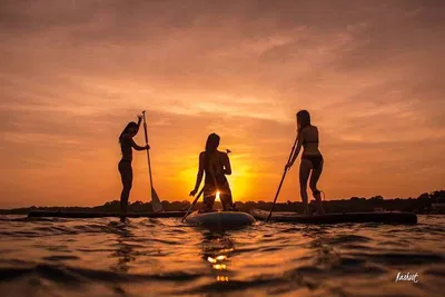 Miami Sunset Paddle: Illuminated Nighttime Adventure