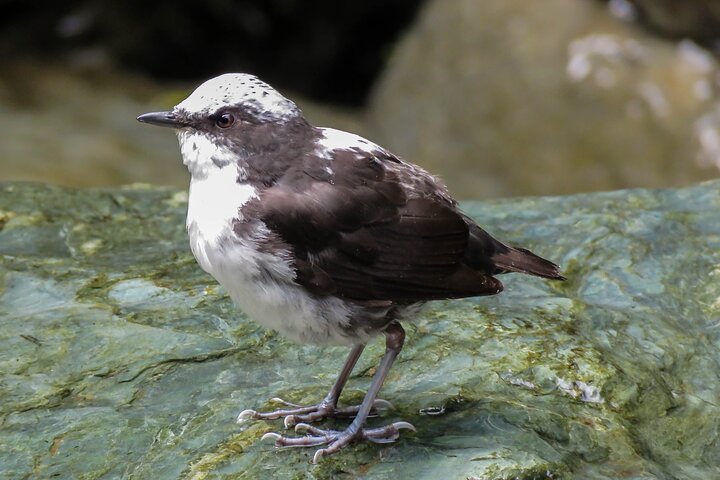 Experience Image img3