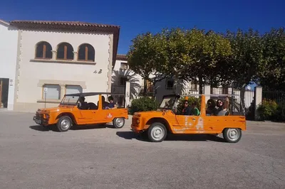 Vineyard Mehari Adventure: Wine Tasting in Barcelona's Penedès!