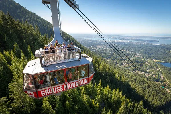 Grouse Mountain: Skyride Ticket & Peak Views