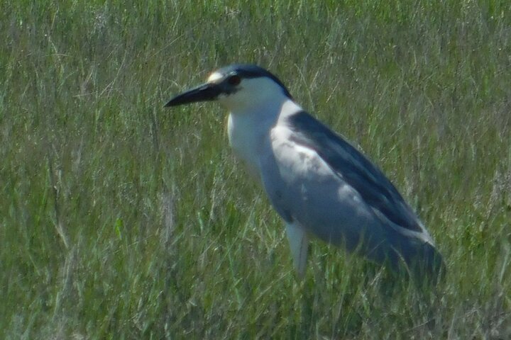 Experience Image img2