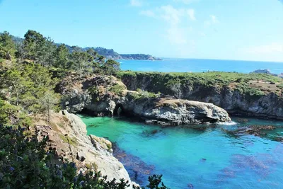Uncover Coastal Gems: A Personalized Point Lobos Walking Tour