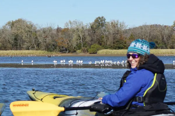 Witness Sandhill Cranes: A Kayaking Safari Near Chattanooga