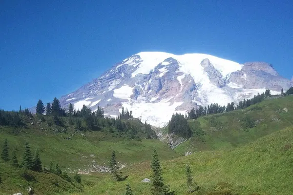 Mt. Rainier: Private SUV Tour – See Top Spots!