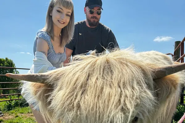 Highland Cow Experience: Gelato, Coffee & Cuddles!