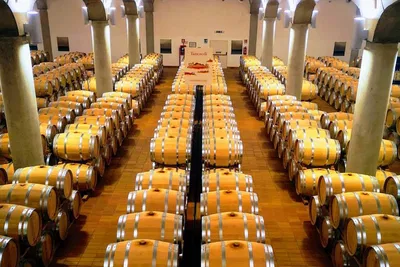 Savor Sicily: Wine Tasting & Lagoon Tour in Marsala
