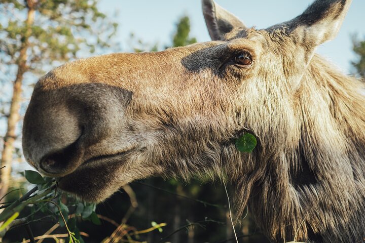 Experience Image img4