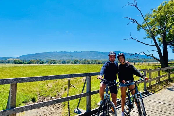 Yarra Valley Bike, Wine & Food Tour