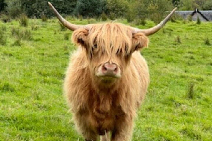 Experience Image img3