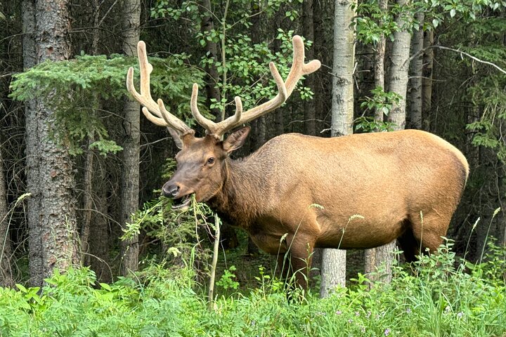 Experience Image img2