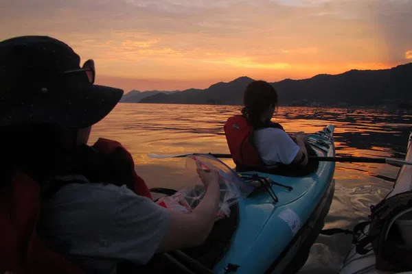 Fukuyama Night Kayak: Paddle into a Sea of Blue Fireflies!