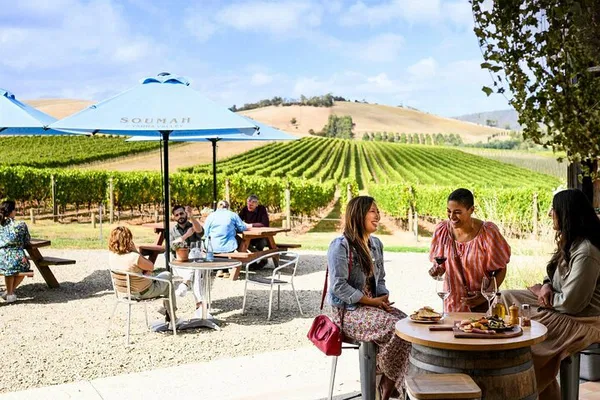 Savor the Vineyards: Yarra Valley's Boutique Wine Tour from Melbourne