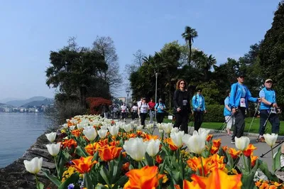 Discover Lugano's Glamour: A City Tour with Local Brews