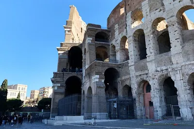 Eternal Rome: Colosseum, Forum & Palatine Hill Tour