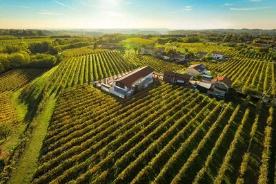 Uncork the Veneto: Prosecco Superiore Tour & Tasting Adventure