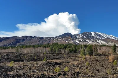 Etna Family Tour: Explore Volcano Craters!