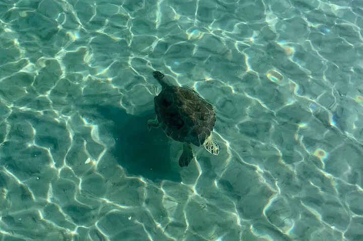 img0