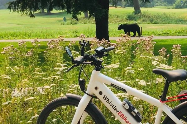 Whistler eBike Adventure: Explore Glaciers & Hidden Gems