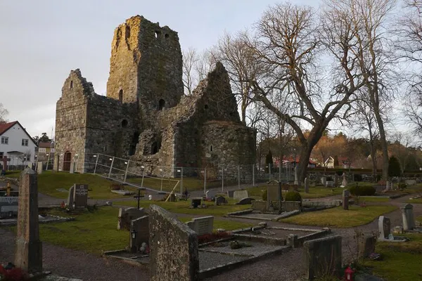 Sigtuna & Wenngarn Castle: Uncover Viking History on a Guided Day Trip
