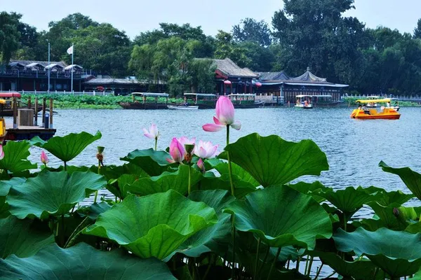 Step Back in Time: Explore Beijing's Historic Hutongs & Drum Tower Spectacle