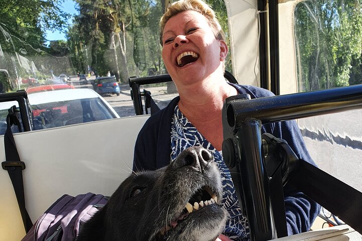 Experience Image img3