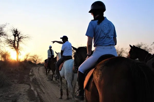 Aravali Trail Ride: Gurgaon's Premier Horseback Adventure