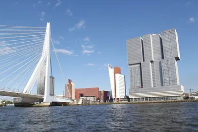Unveiling Rotterdam's Charm: A Private Walking Tour Through History