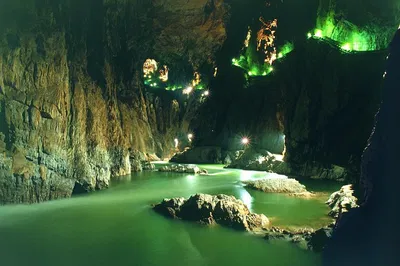 Lipica & Skocjan Caves Tour from Portoroz