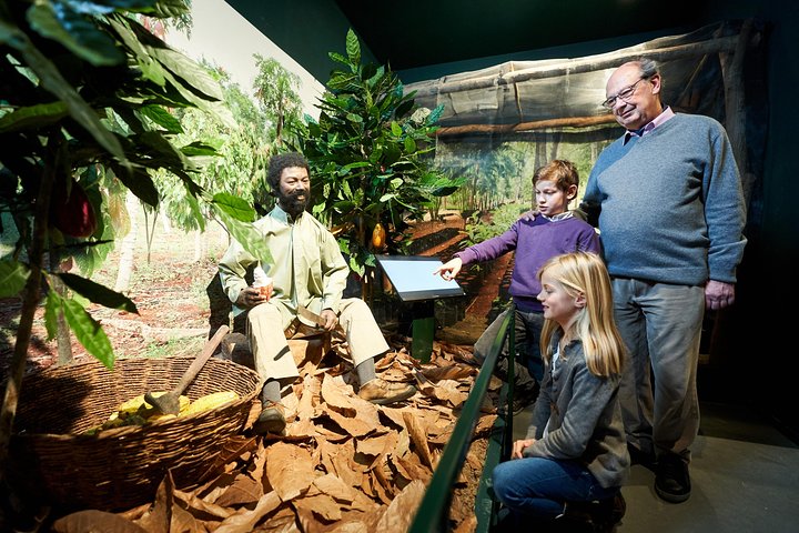 Experience Image img1