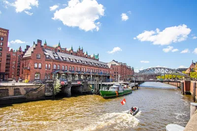 Hamburg's Best Brews: A Local's 3-Hour Pub Crawl Adventure