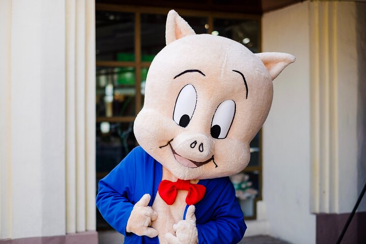 Experience Image img4