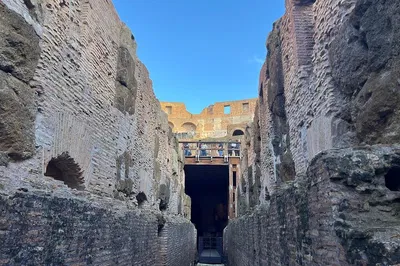 Uncover Colosseum's Secrets: An Exclusive Underground Tour
