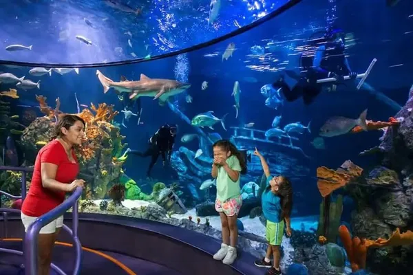 Moody Gardens One Day Value Pass: Explore All Attractions!