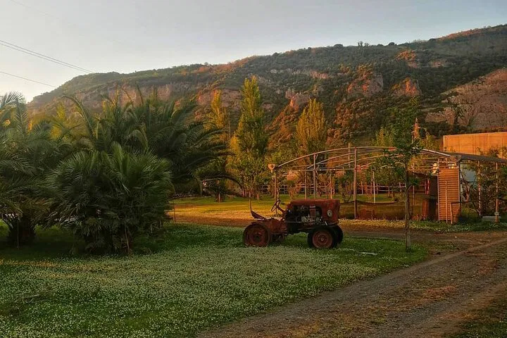 img0