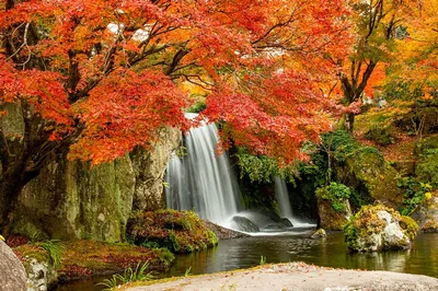 Black Forest Escape: A Luxurious Private Day Trip from Basel