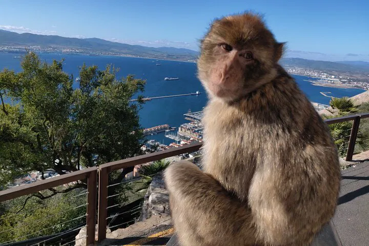 img0